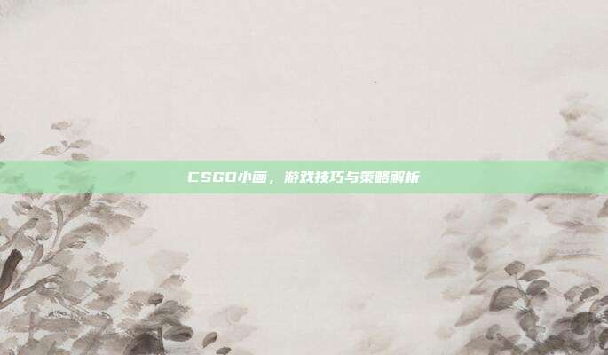 CSGO小画，游戏技巧与策略解析