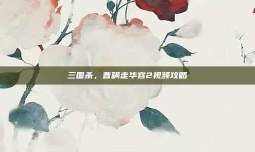 三国杀，曹瞒走华容2视频攻略