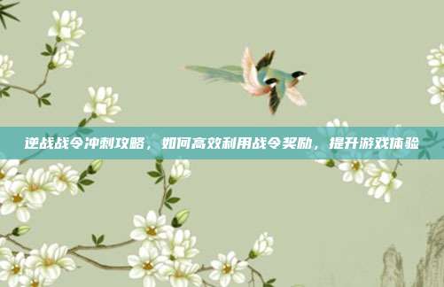 逆战战令冲刺攻略,如何高效利用战令奖励,提升游戏体验