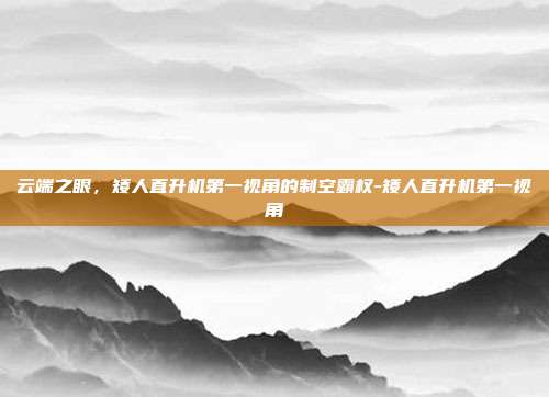 云端之眼，矮人直升机第一视角的制空霸权-矮人直升机第一视角