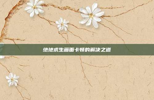 绝地求生画面卡顿的解决之道