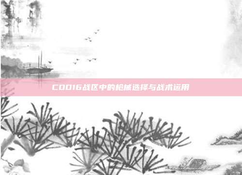 COD16战区中的枪械选择与战术运用