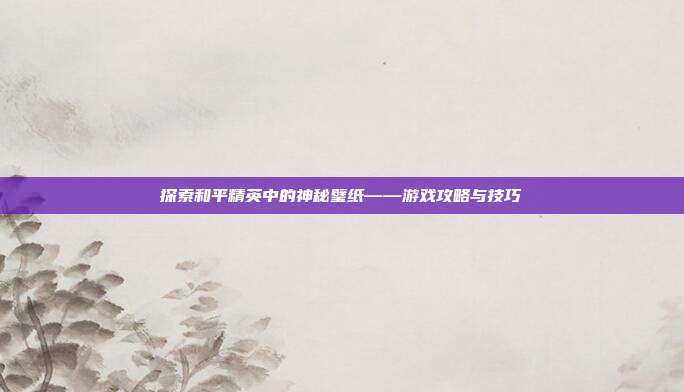 探索和平精英中的神秘璧纸——游戏攻略与技巧