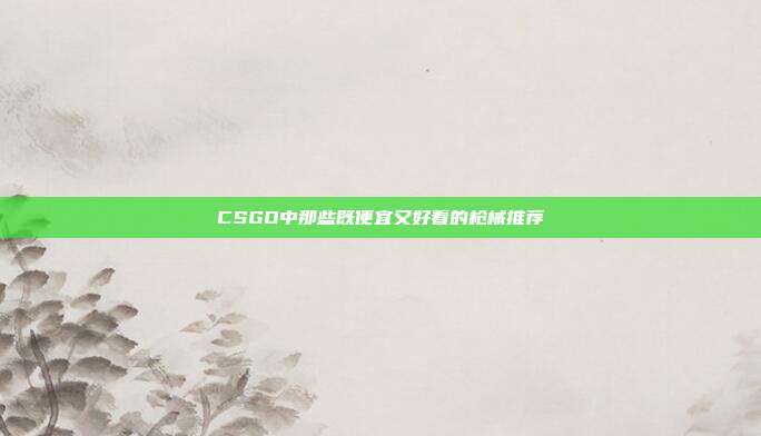 CSGO中那些既便宜又好看的枪械推荐