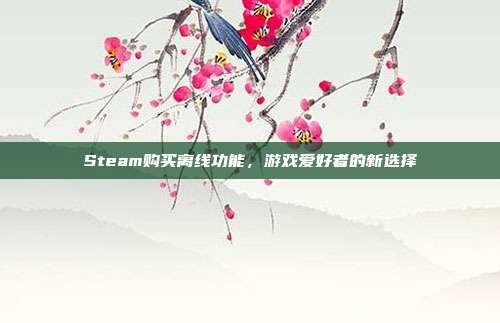 Steam购买离线功能,游戏爱好者的新选择