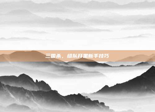 三国杀，组队开黑新手技巧