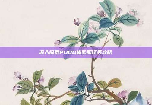 深入探索PUBG体验服任务攻略