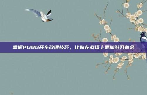 掌握PUBG开车改键技巧,让你在战场上更加游刃有余