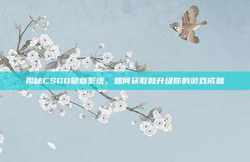 揭秘CSGO勋章系统,如何获取和升级你的游戏成就