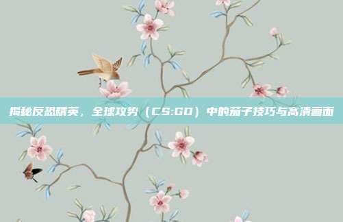 揭秘反恐精英，全球攻势（CS:GO）中的茄子技巧与高清画面