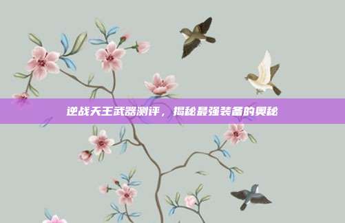 逆战天王武器测评,揭秘最强装备的奥秘