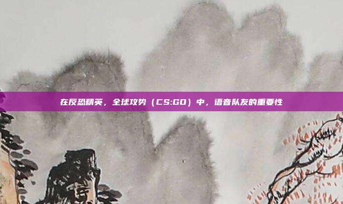 在反恐精英,全球攻势(CS:GO)中,语音队友的重要性