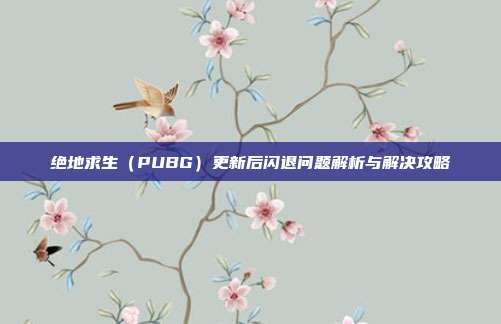 绝地求生（PUBG）更新后闪退问题解析与解决攻略
