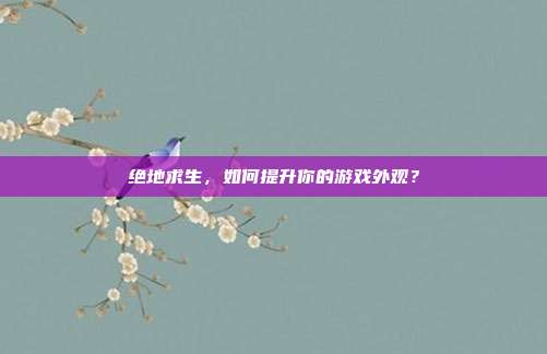 绝地求生，如何提升你的游戏外观？