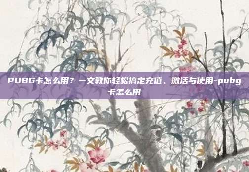 PUBG卡怎么用？一文教你轻松搞定充值、激活与使用-pubg卡怎么用