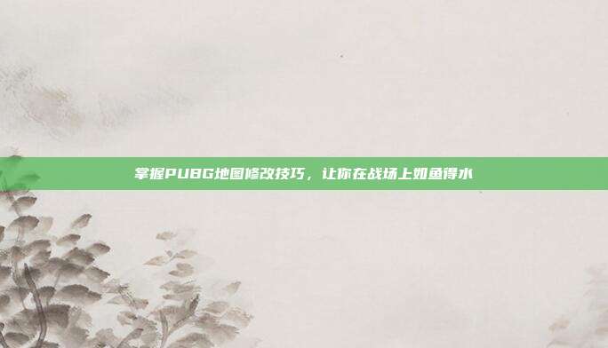 掌握PUBG地图修改技巧，让你在战场上如鱼得水