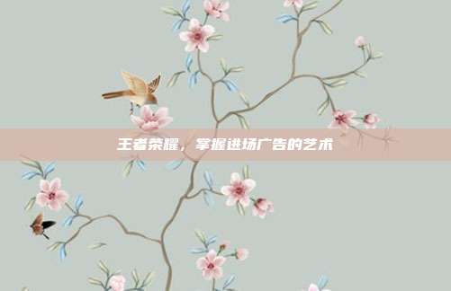 王者荣耀,掌握进场广告的艺术