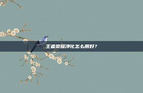 王者荣耀净化怎么用好?