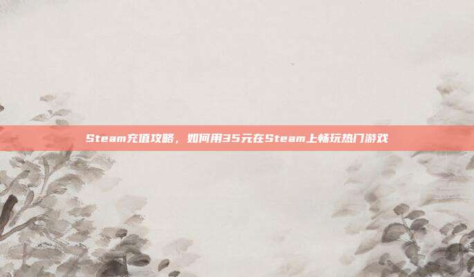 Steam充值攻略,如何用35元在Steam上畅玩热门游戏