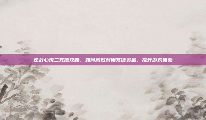 逆战心悦二充值攻略,如何高效利用充值资金,提升游戏体验