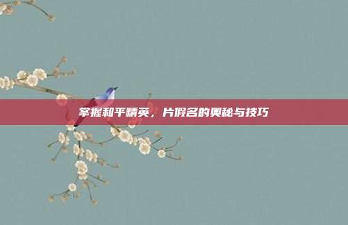掌握和平精英,片假名的奥秘与技巧