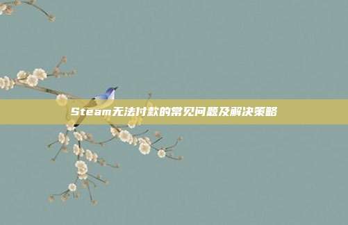 Steam无法付款的常见问题及解决策略