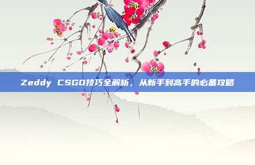 Zeddy CSGO技巧全解析,从新手到高手的必备攻略