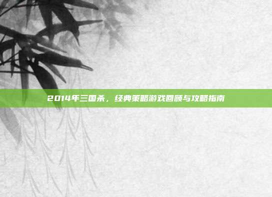 2014年三国杀,经典策略游戏回顾与攻略指南