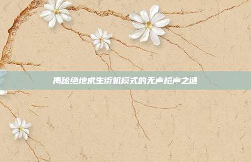 揭秘绝地求生街机模式的无声枪声之谜