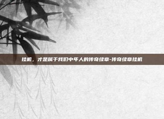 挂机，才是属于我们中年人的传奇续章-传奇续章挂机