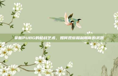 掌握PUBG的枪战艺术,如何观察和利用你的武器