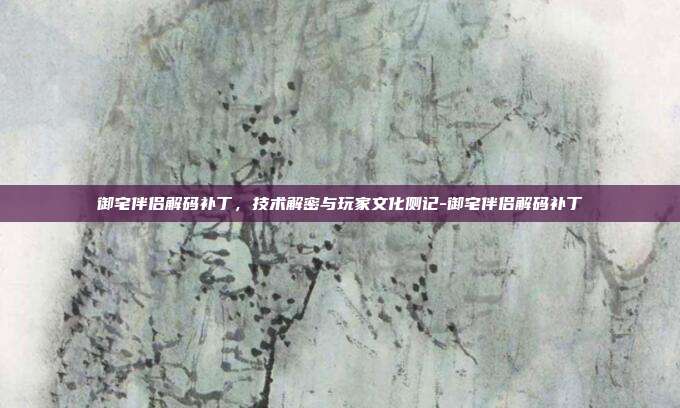 御宅伴侣解码补丁，技术解密与玩家文化侧记-御宅伴侣解码补丁
