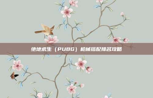 绝地求生(PUBG)枪械搭配排名攻略