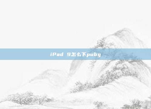 iPad 9怎么下pubg