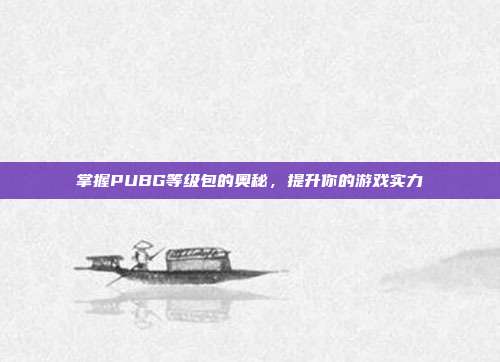 掌握PUBG等级包的奥秘,提升你的游戏实力