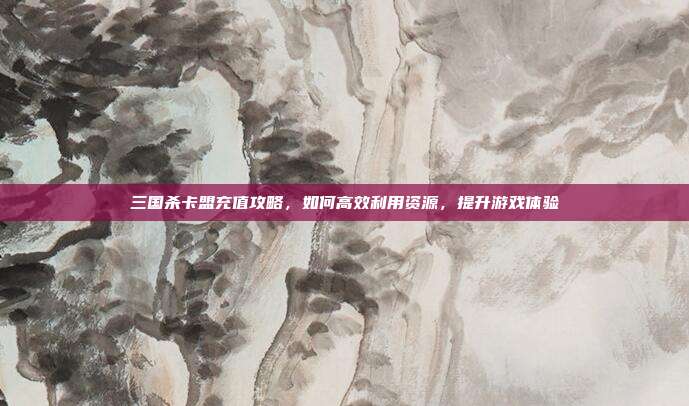 三国杀卡盟充值攻略,如何高效利用资源,提升游戏体验