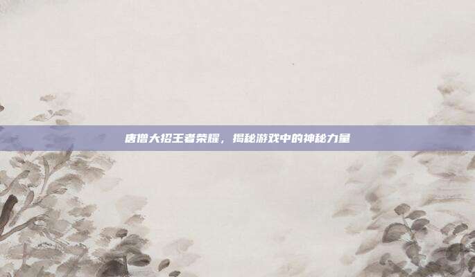 唐僧大招王者荣耀,揭秘游戏中的神秘力量