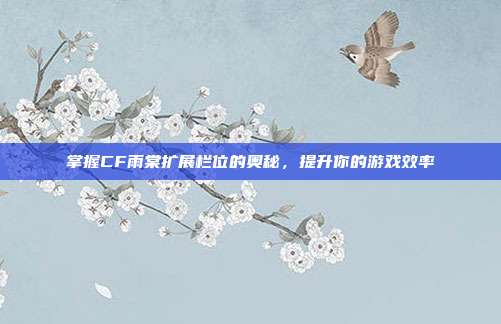 掌握CF雨棠扩展栏位的奥秘,提升你的游戏效率