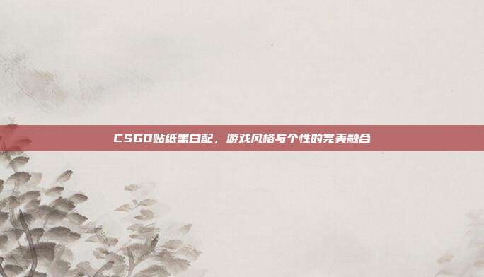 CSGO贴纸黑白配,游戏风格与个性的完美融合