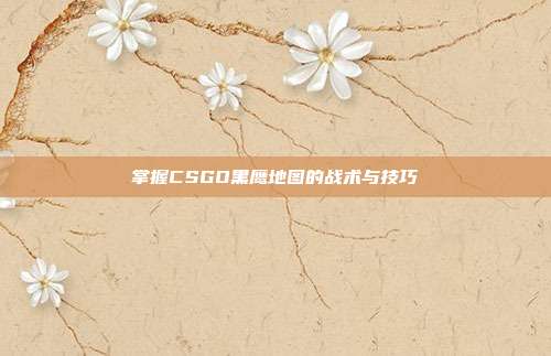 掌握CSGO黑鹰地图的战术与技巧