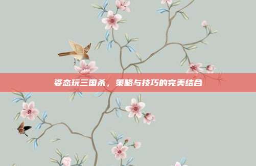 姿态玩三国杀,策略与技巧的完美结合