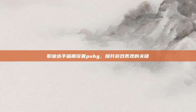 职业选手画质设置pubg,提升游戏表现的关键