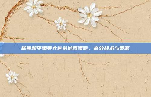 掌握和平精英大逃杀地图精髓，高效战术与策略
