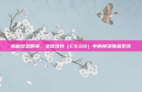 揭秘反恐精英,全球攻势(CS:GO)中的掉落物品系统