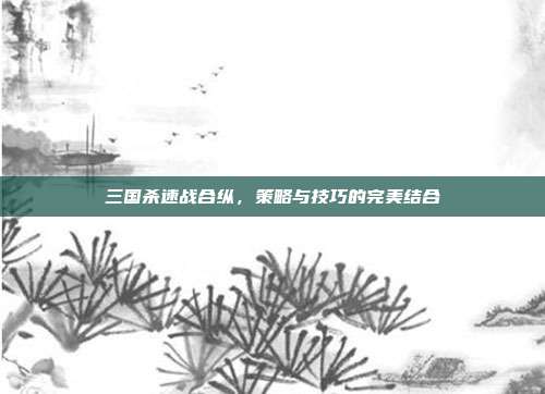 三国杀速战合纵,策略与技巧的完美结合