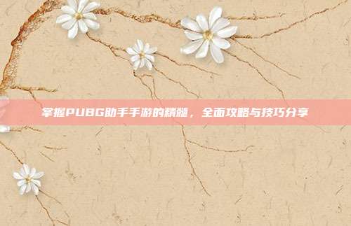 掌握PUBG助手手游的精髓,全面攻略与技巧分享