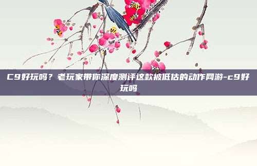 C9好玩吗？老玩家带你深度测评这款被低估的动作网游-c9好玩吗