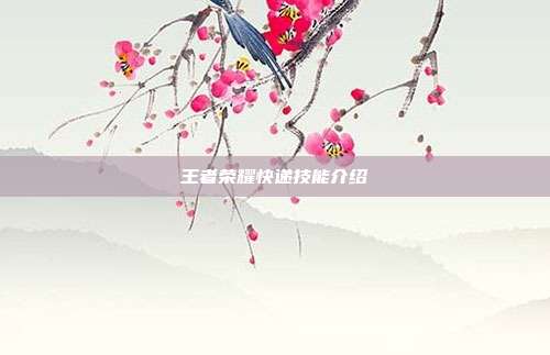 王者荣耀快递技能介绍