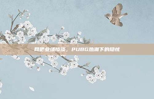 网吧业绩惨淡,PUBG热潮下的隐忧