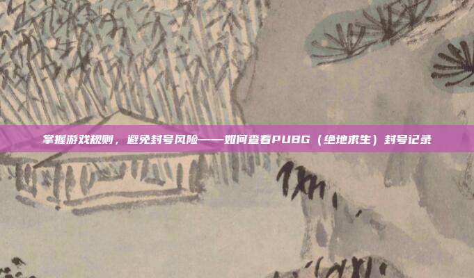 掌握游戏规则,避免封号风险——如何查看PUBG(绝地求生)封号记录
